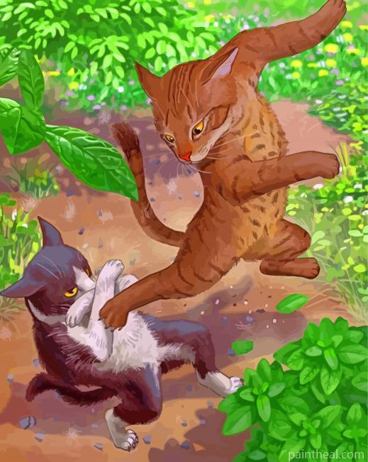 Cats Fighting Painting By Numbers Kits