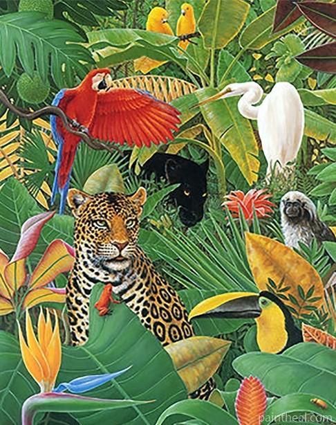 Tropical Animals Animals Painting By Numbers Kits