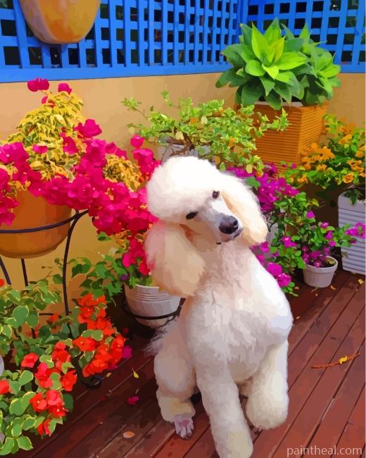 White Poodle Painting By Numbers Kits