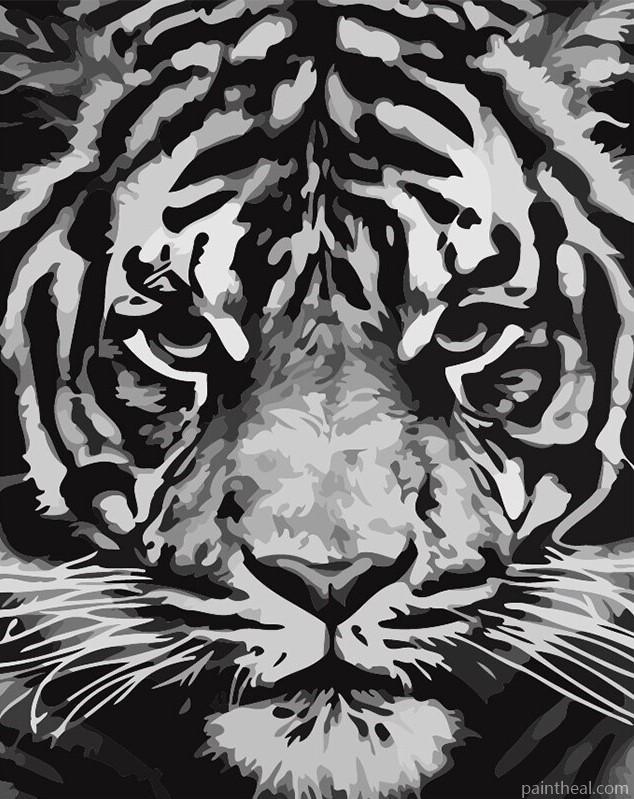 Tiger In black and White Animals Painting By Numbers Kits