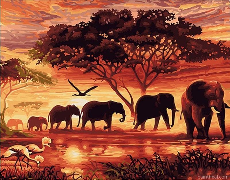 Elephants Animals Painting By Numbers Kits