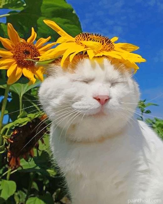 Cat With Sun Flowers NEW Painting By Numbers Kits