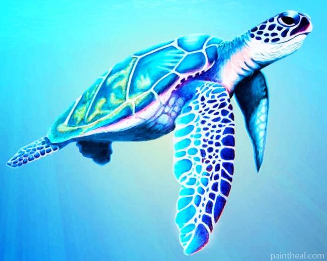 Sea Turtle NEW Painting By Numbers Kits