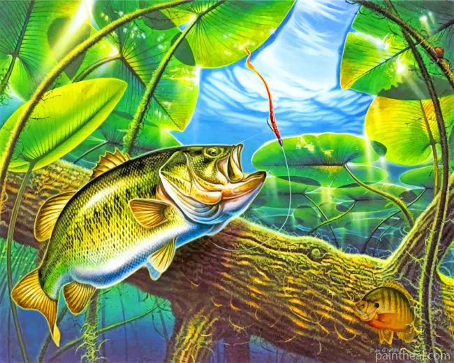 Largemouth Bass Painting By Numbers Kits