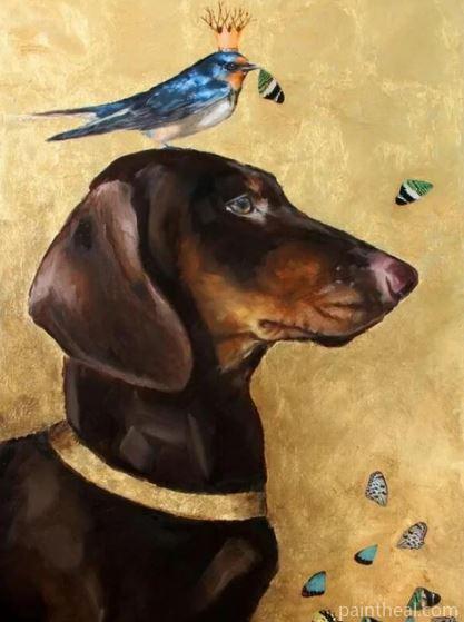 Dachshund Dog and Bird Animals Painting By Numbers Kits
