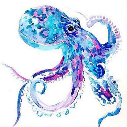 Colorful Octopus Animals Painting By Numbers Kits