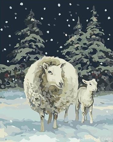 Sheep In Snow Animals Painting By Numbers Kits