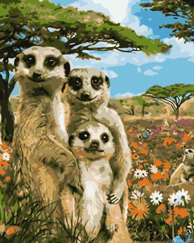 Meerkat family Animals Painting By Numbers Kits