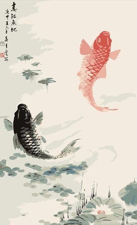 Chinese Koi Fish Animals Painting By Numbers Kits
