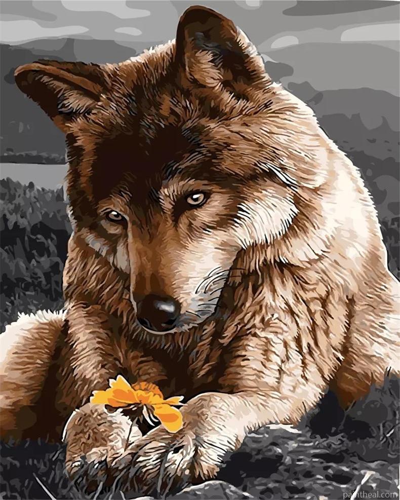Sad Wolf Animals Painting By Numbers Kits