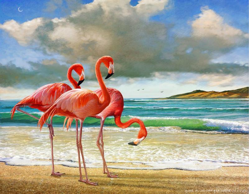 Flamingo At Beach Birds Painting By Numbers Kits