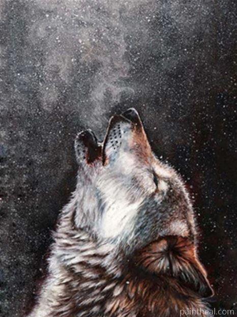 Wolf Spirit Animals Painting By Numbers Kits