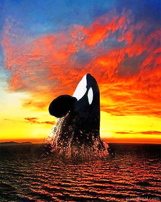 Orca Sunset NEW Painting By Numbers Kits