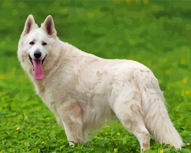 White Shepherd Painting By Numbers Kits