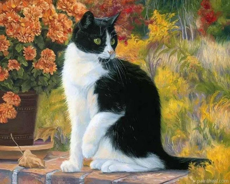 Black and White Cat Animals Painting By Numbers Kits