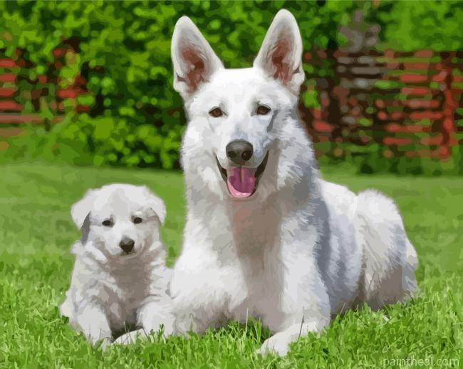 White Shepherd Dogs Painting By Numbers Kits