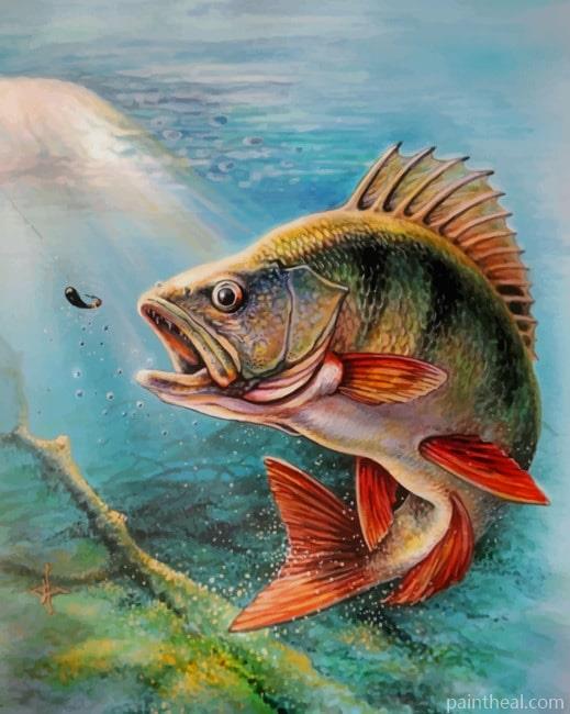 Largemouth Bass Fish NEW Painting By Numbers Kits