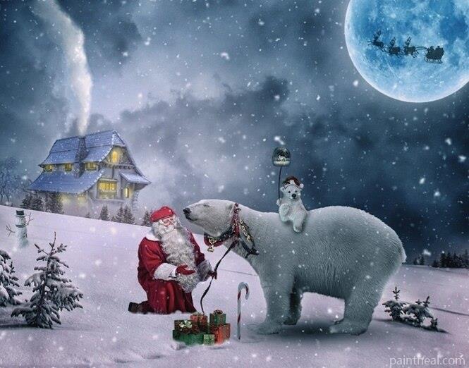 Polar Bears And Santa Claus Animals Painting By Numbers Kits