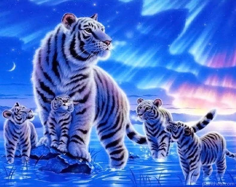 White Night tiger Animals Painting By Numbers Kits