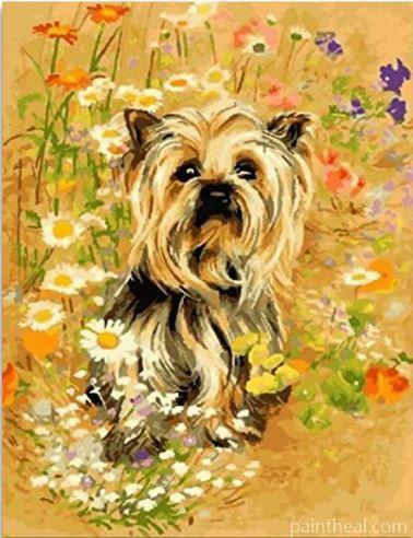 The Yorkshire Terrier Dog Animals Painting By Numbers Kits