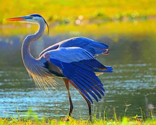 Great Blue Heron NEW Painting By Numbers Kits