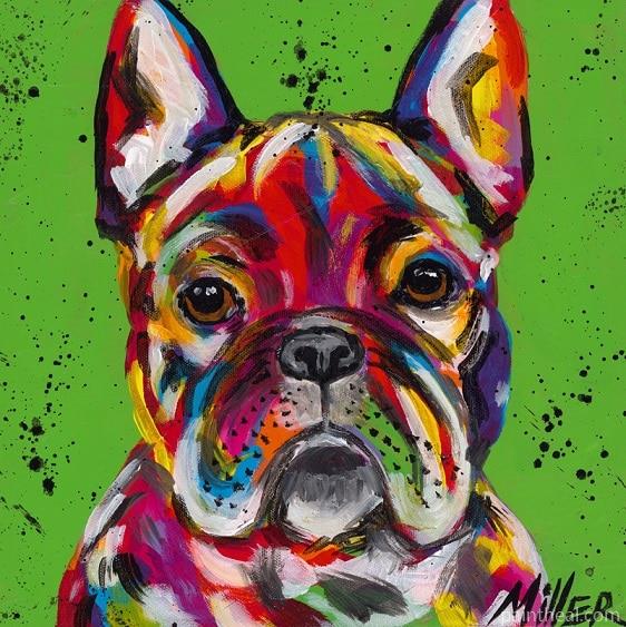 Colorful French Bulldog Animals Painting By Numbers Kits