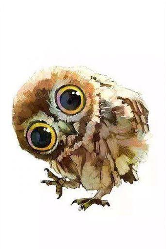 Cute Owls Birds Painting By Numbers Kits