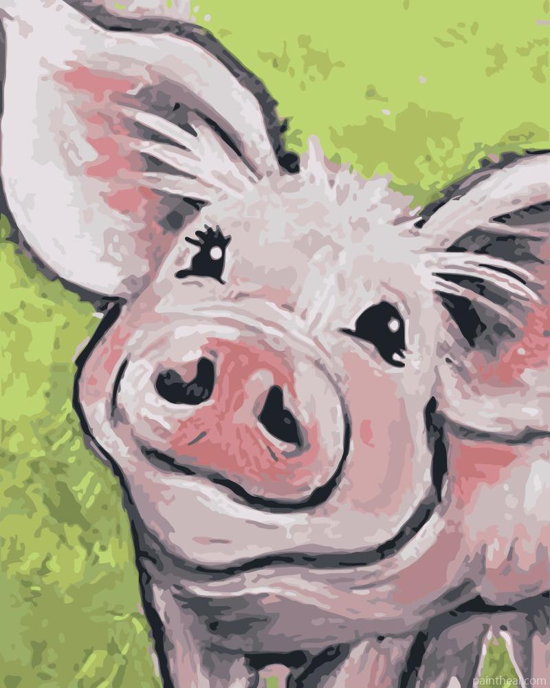 Pig Smiling Animals Painting By Numbers Kits