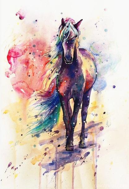 Colored Horse Animals Painting By Numbers Kits