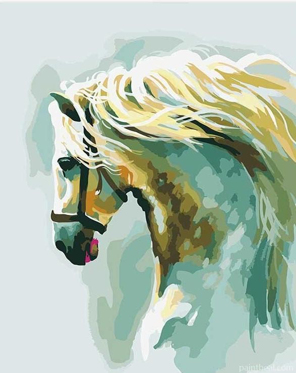 Abstract Horse Animals Painting By Numbers Kits