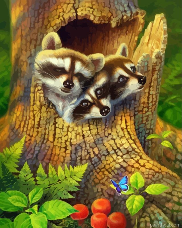 Cute Raccoons Painting By Numbers Kits