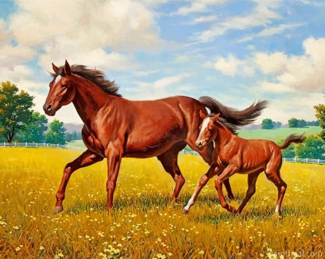 Horses In Meadow Painting By Numbers Kits
