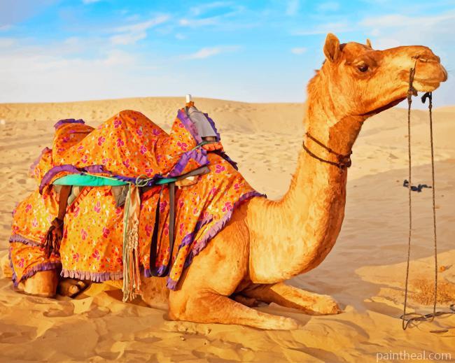 Camel In Desert NEW Painting By Numbers Kits