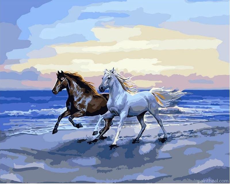 Horses On The Beach Animals Painting By Numbers Kits
