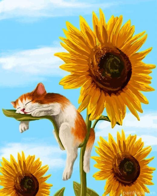 Cat On Sunflower Painting By Numbers Kits