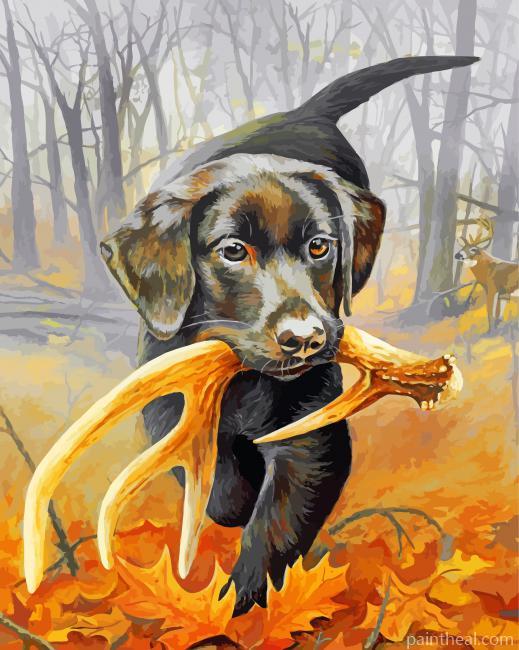 Aesthetic Black Dog Painting By Numbers Kits