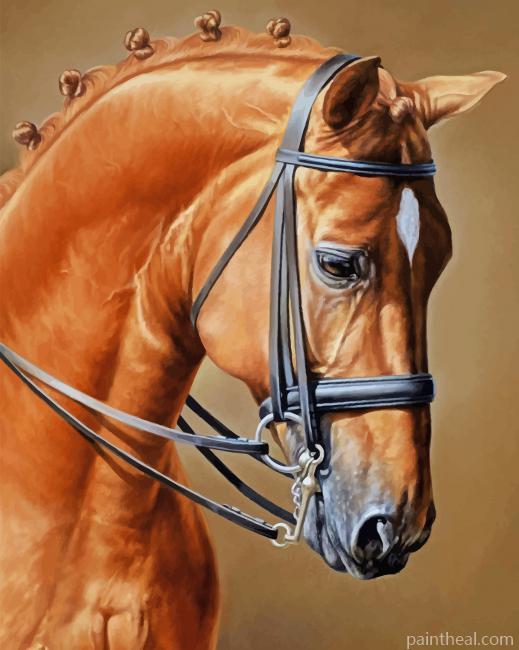 Brown Horse NEW Painting By Numbers Kits