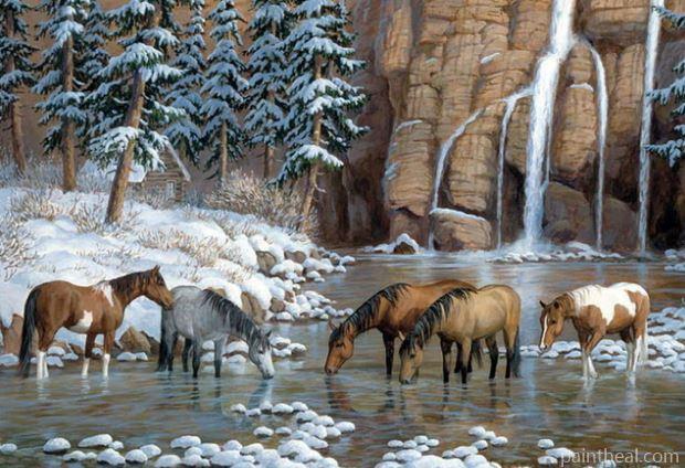 River Herd of Horses Animals Painting By Numbers Kits