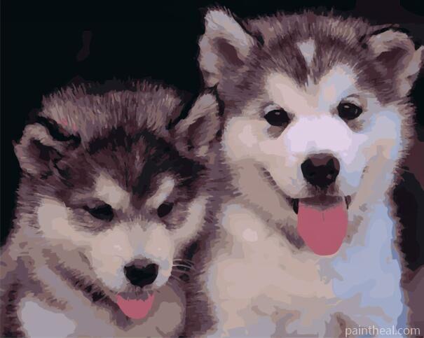 Puppies Of Husky Animals Painting By Numbers Kits