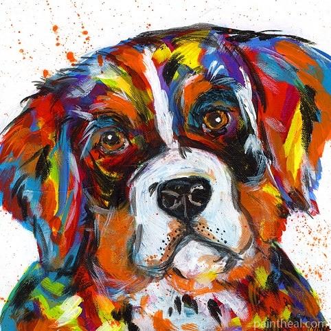 Bernese Mountain Dog Animals Painting By Numbers Kits