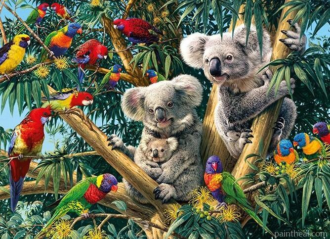 Birds & Koalas on Trees Animals Painting By Numbers Kits
