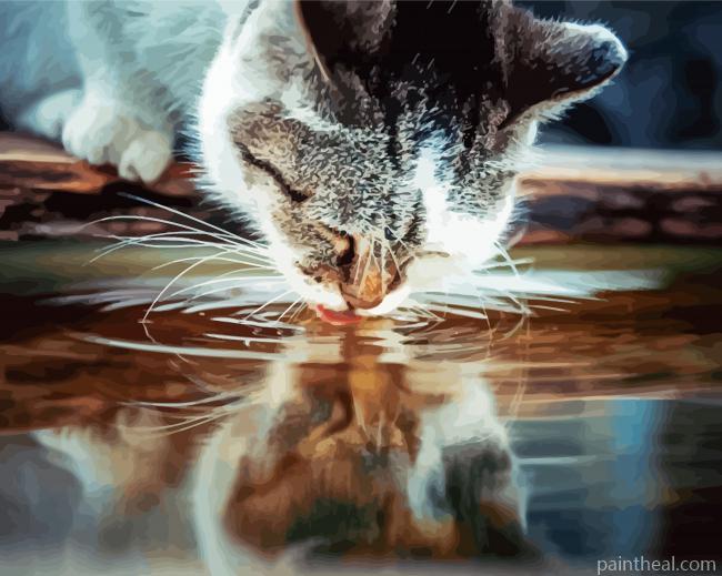 Cat Drinking Water Painting By Numbers Kits