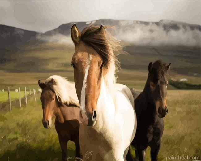 Island Horse NEW Painting By Numbers Kits