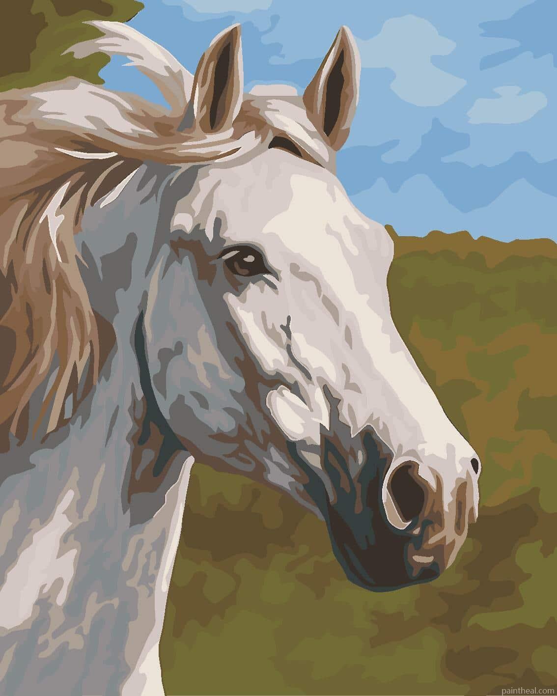 Thoroughbred White Horse Animals Painting By Numbers Kits