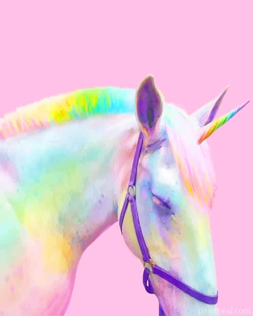 Rainbow Horse NEW Painting By Numbers Kits