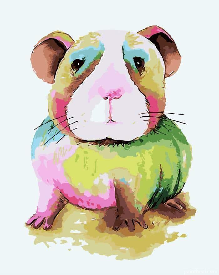 Guinea Pig Animals Painting By Numbers Kits