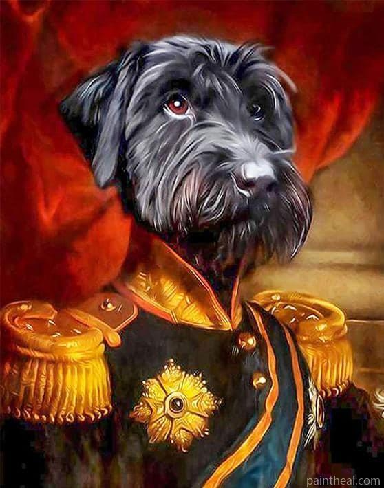 General Dog Animals Painting By Numbers Kits