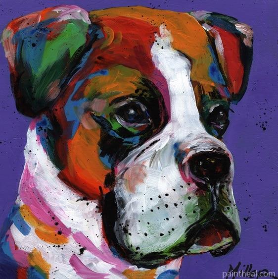 Bam Bam Boxer Dog Animals Painting By Numbers Kits