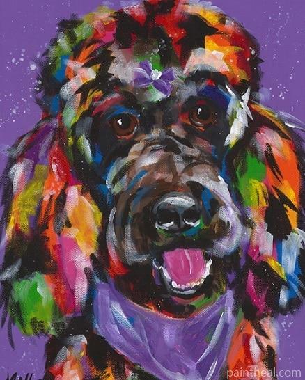 Colorful Standard Poodle Animals Painting By Numbers Kits
