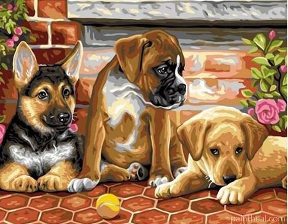 Puppies With A Tennis Ball Animals Painting By Numbers Kits